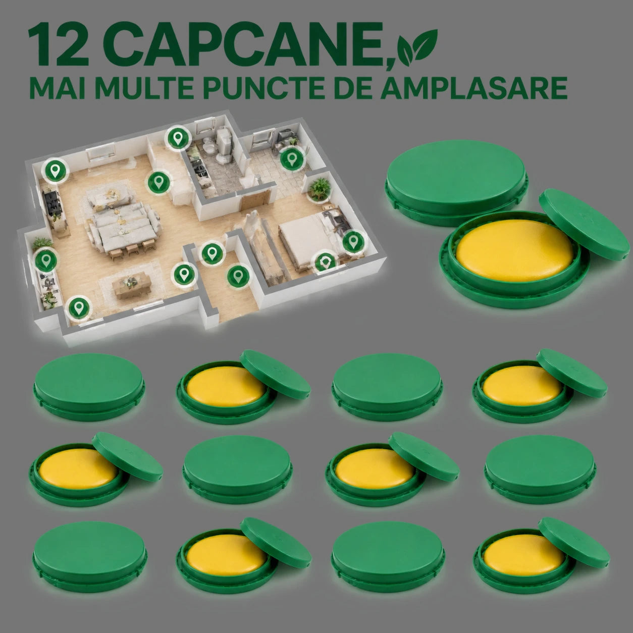 Douăsprezece capcane, mai multe puncte de amplasare